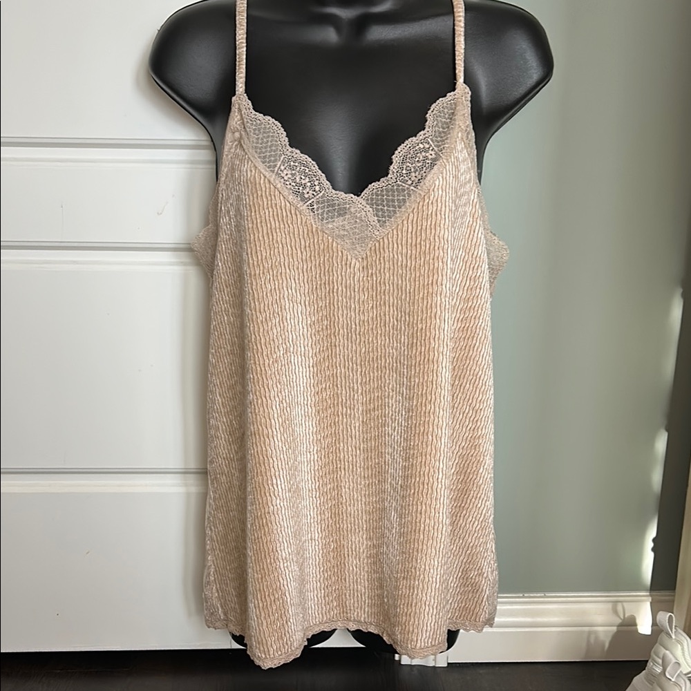 Velvet and Lace Trim Beige Cami Top